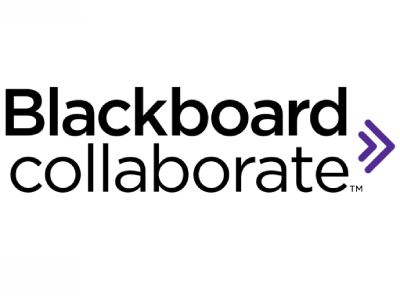 Blackboard Collaborate: compartir la càmera